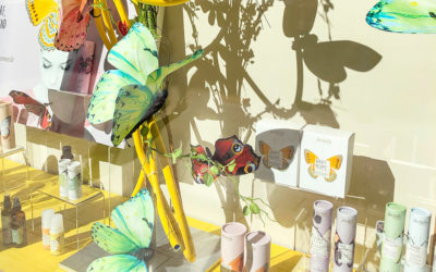 Nicht auf Nummer Sicher: Kreative Ideen ins Schaufenster bringen