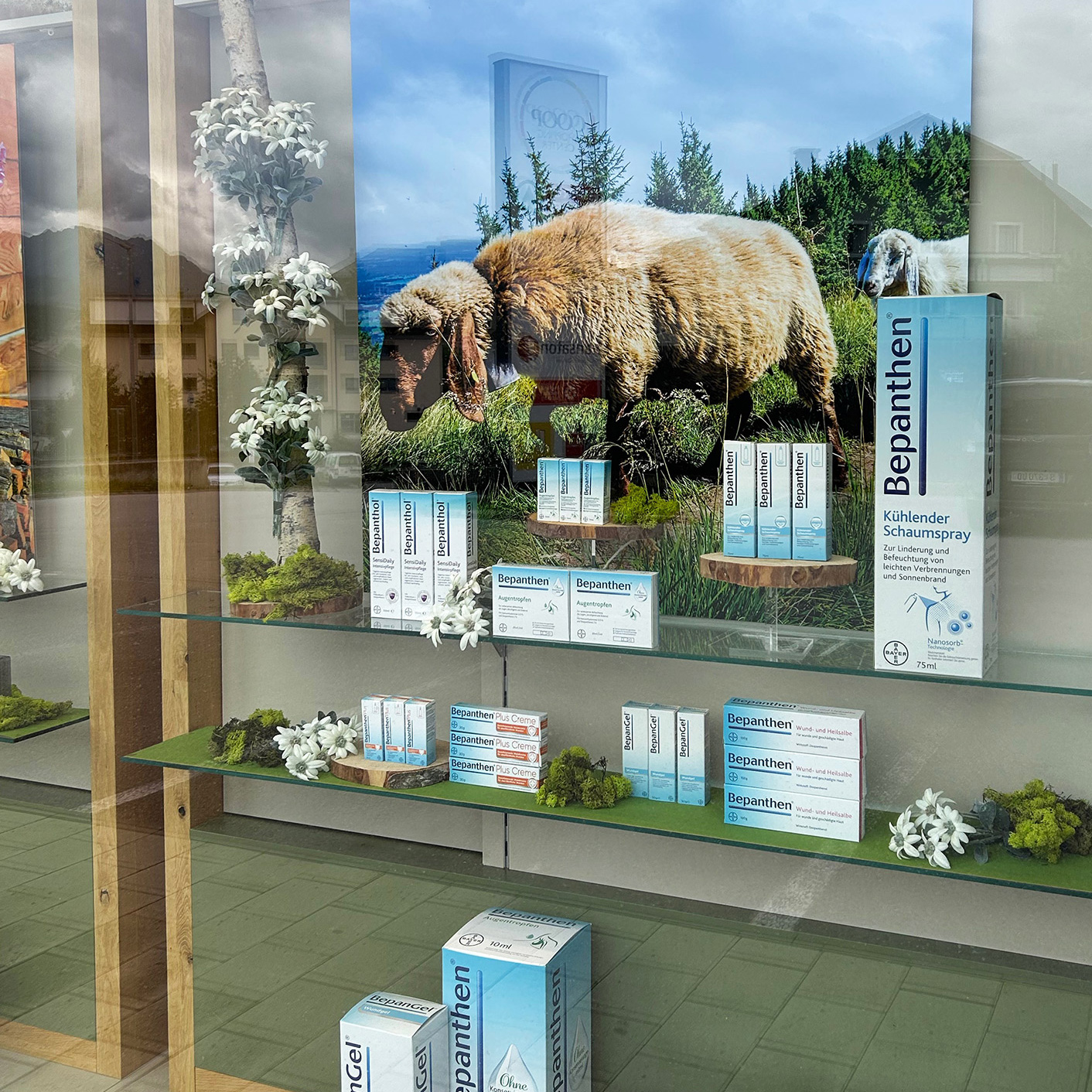 Sommerschaufenster mit Schaf für eine Apotheke, umgesetzt von ART DEKO