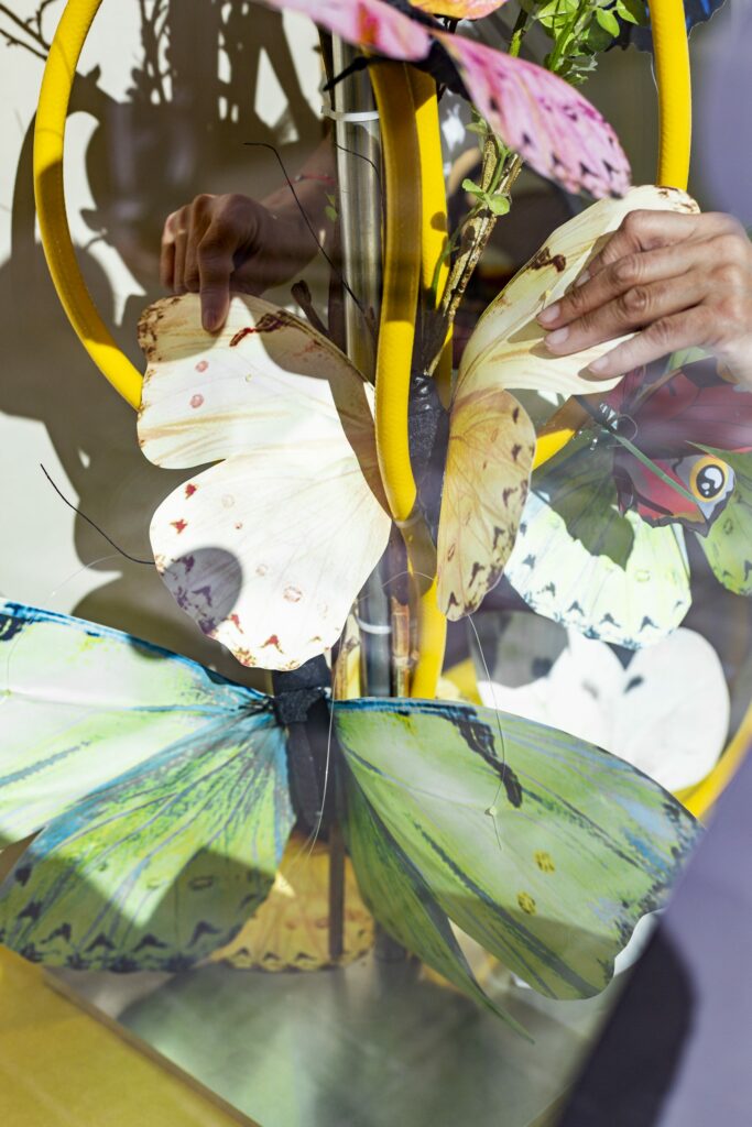 Schaufensterdekoration Apotheke Schmetterlinge, umgesetzt von ART DEKO, Foto: Stephanie Weinhappel