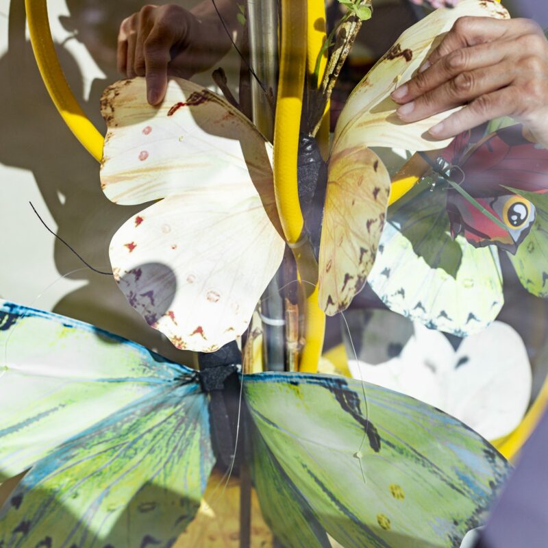 Schaufensterdekoration Apotheke Schmetterlinge, umgesetzt von ART DEKO, Foto: Stephanie Weinhappel