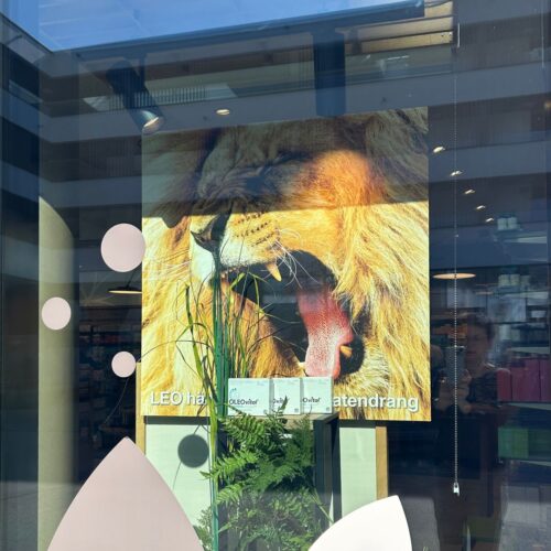 Apothekenschaufenster Frühjahrsmüdigkeit umgesetzt von ART DEKO Wien