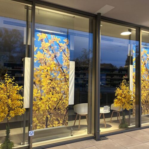 Apothekenschaufenster Frühling 2026 umgesetzt von ART DEKO Wien