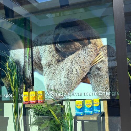 Apothekenschaufenster Frühjahrsmüdigkeit umgesetzt von ART DEKO Wien