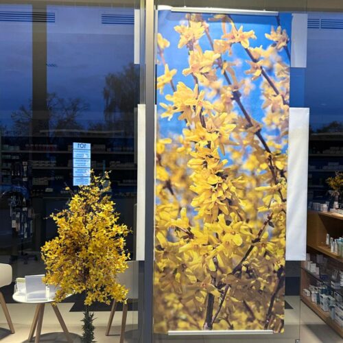 Apothekenschaufenster Frühling 2026 umgesetzt von ART DEKO Wien