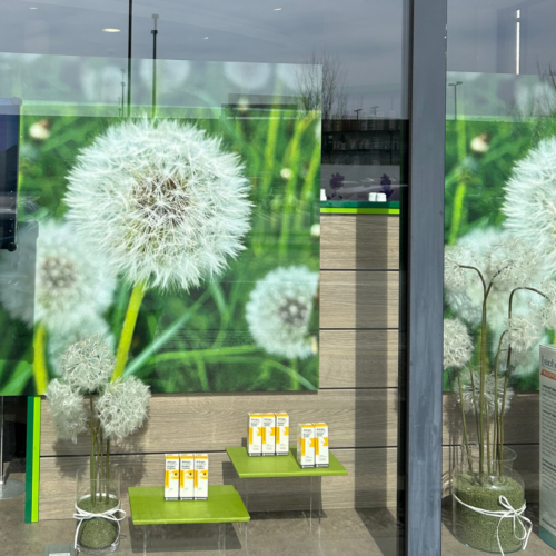 Schaufenstergestaltung für eine Apotheke umgesetzt von ART DEKO