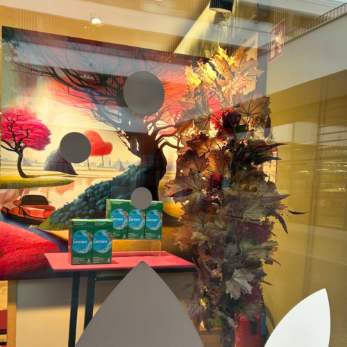 Apothekenschaufenster gestaltet von ART DEKO